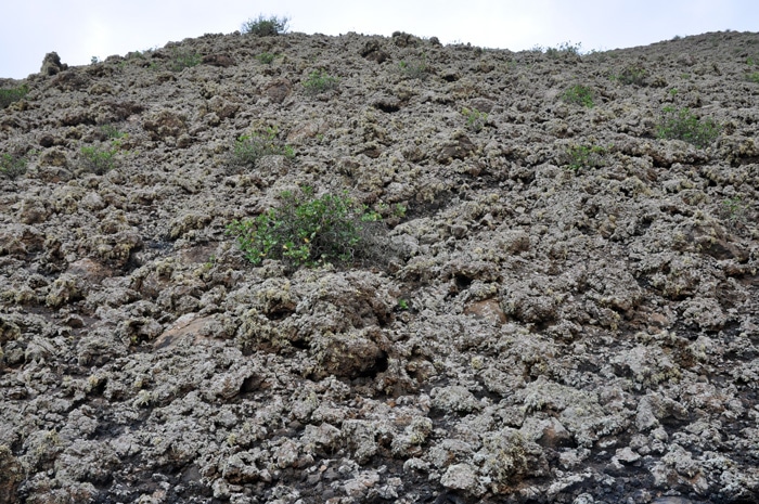 Rezerwat Timanfaya