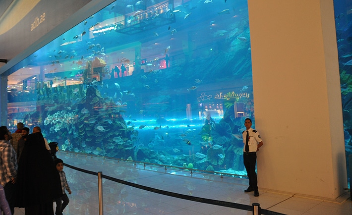 aqua1