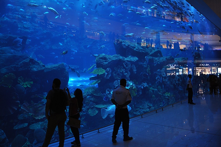 aquarium_ground