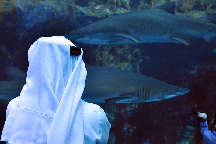 aquariumarab