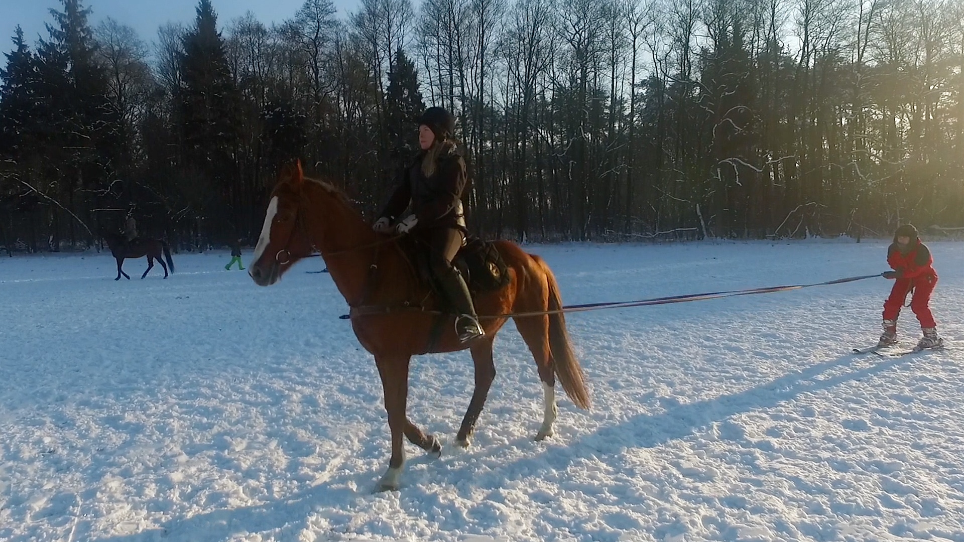Skijoring