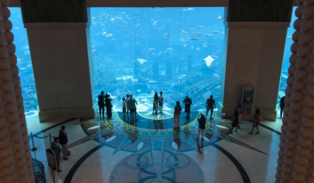 The Lost Chambers aquarium