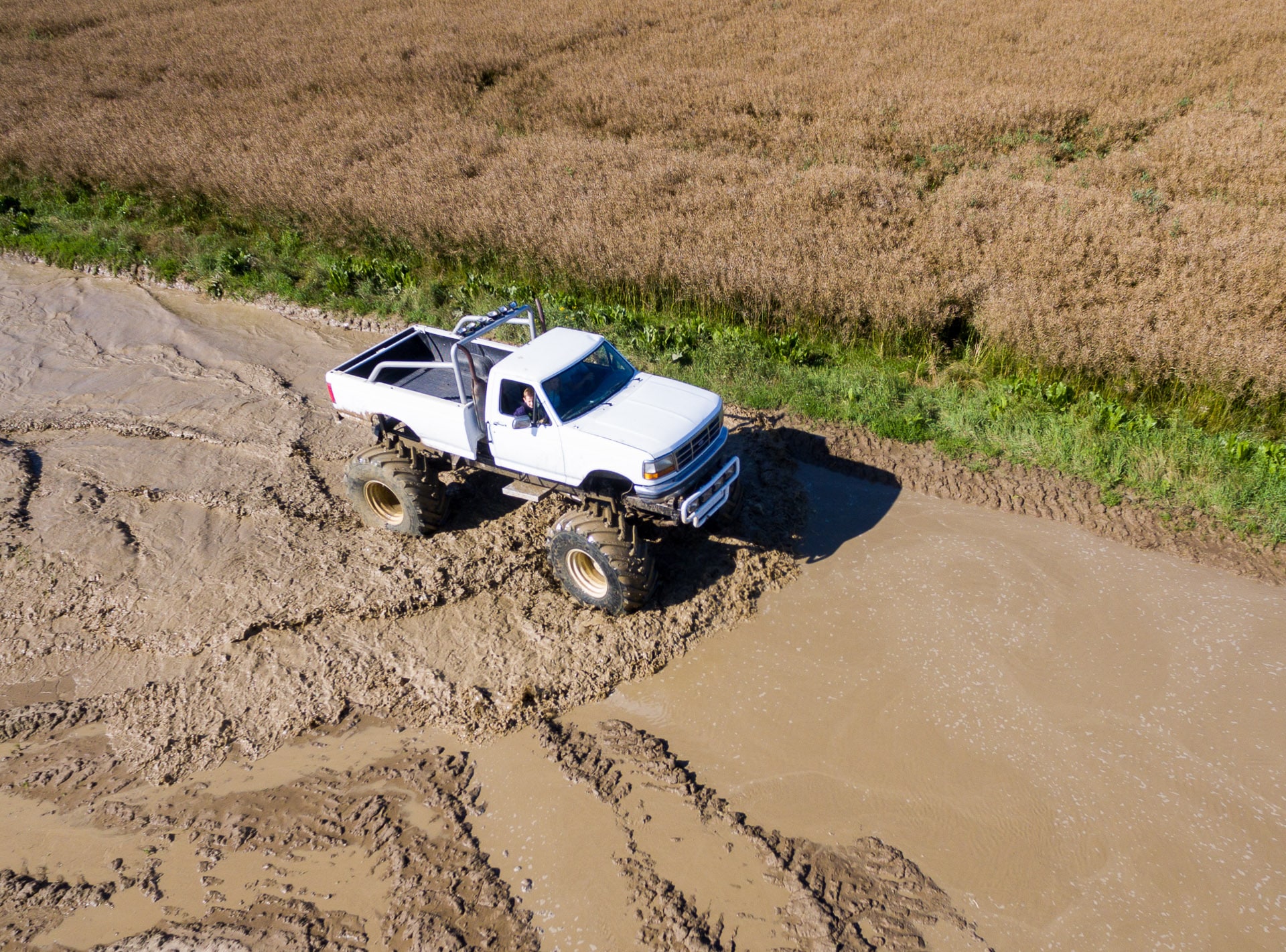 Monster truck 