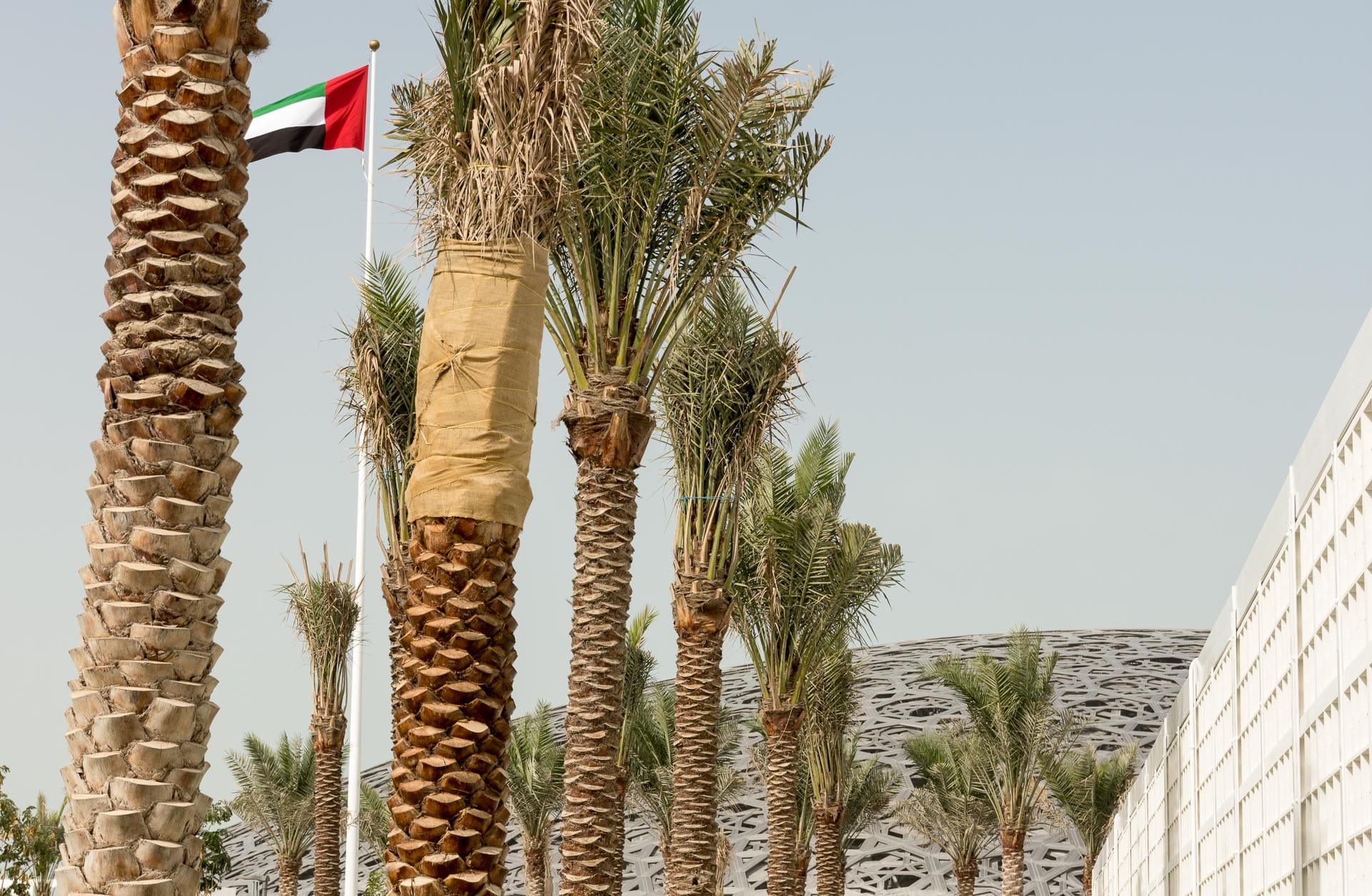 Muzeum Luwr, Abu Dhabi