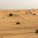 Dubaj – safari na pustyni
