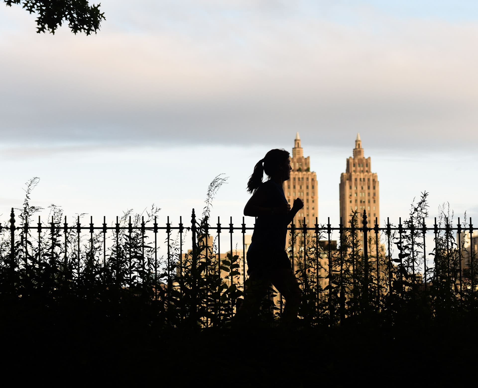 Central Park