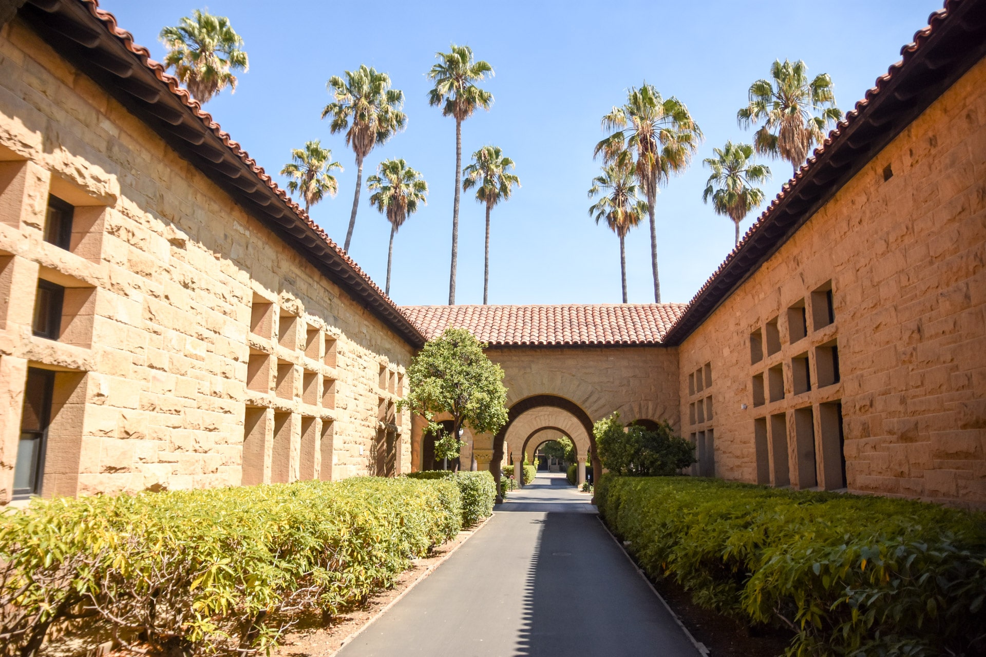 Uniwersytet Stanford