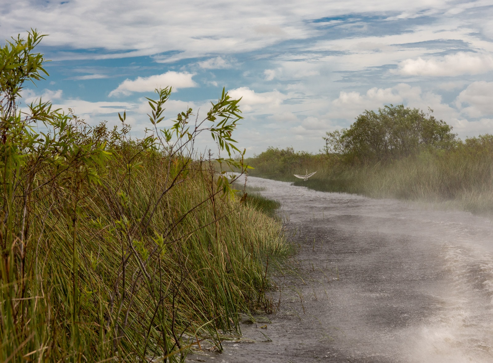 Park Narodowy Everglades