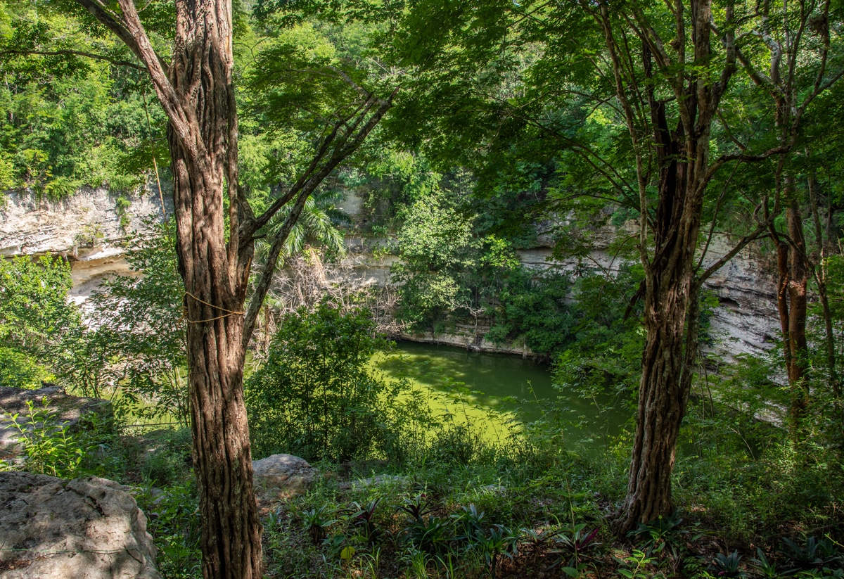 Święta cenote w Chichén Itzá